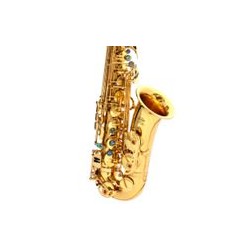 Alto saxophone   [Abalone...