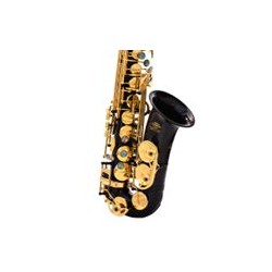 Alto saxophone  [Black body...