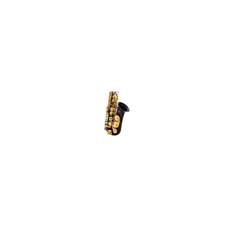 Alto saxophone  [Black body gold key single key tendon]