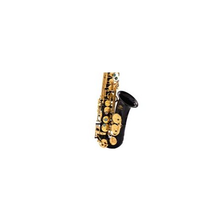 Alto saxophone  [Black body gold key single key tendon]