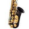 Alto saxophone  [Black body gold key single key tendon]