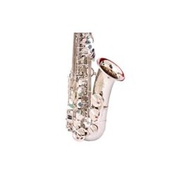 Alto saxophone [Nickel...