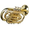 Pocket Trumpet